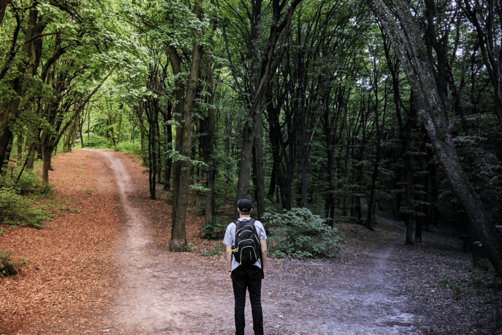 tomar a sua cruz é uma escolha entre dois caminhos, um de luz e outro de trevas