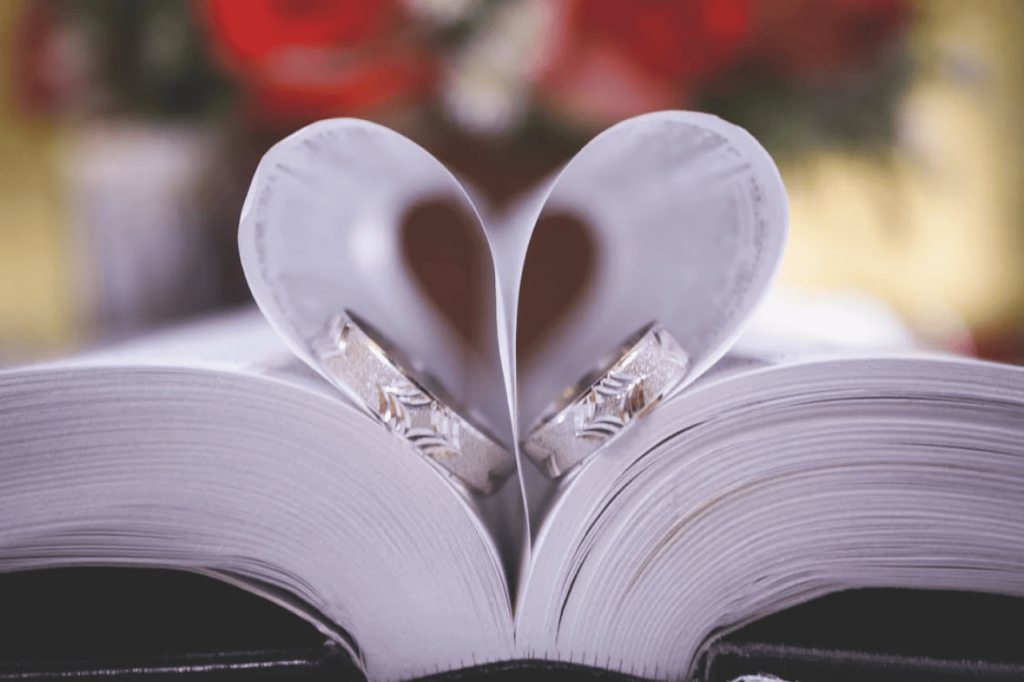 Duas alianças sobre a Bíblia, simbolizando o casamento e a resposta de Jesus sobre o repúdio — O Crente e a Bíblia
